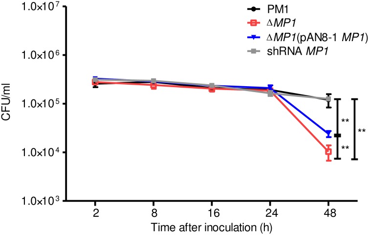 Fig 4