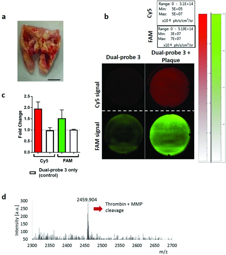 Fig. 4