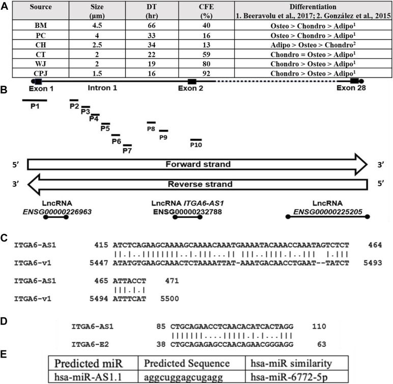 FIGURE 1