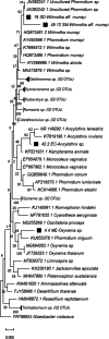 Fig. 6