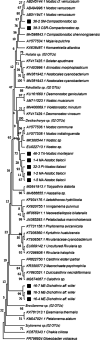 Fig. 7