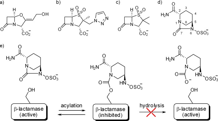 Fig 1