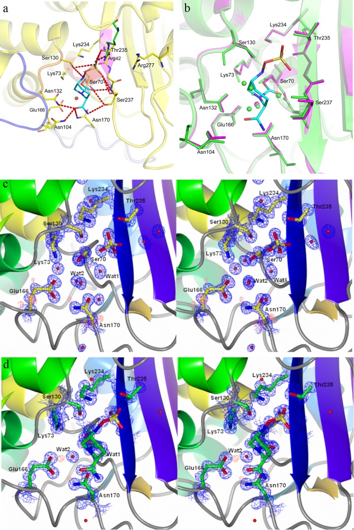 Fig 2