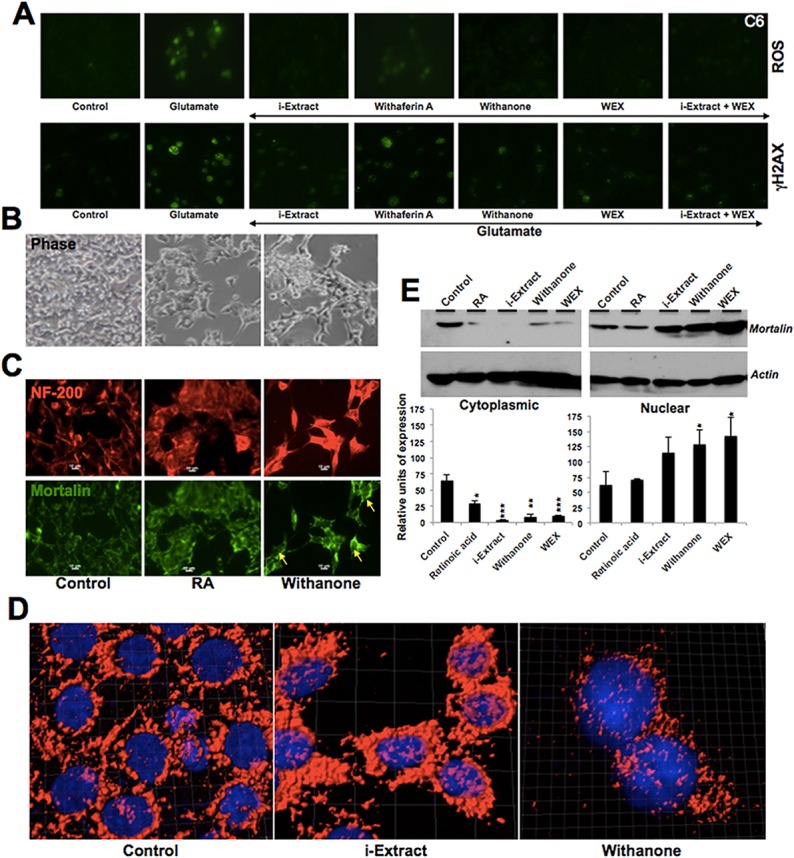 Fig 6