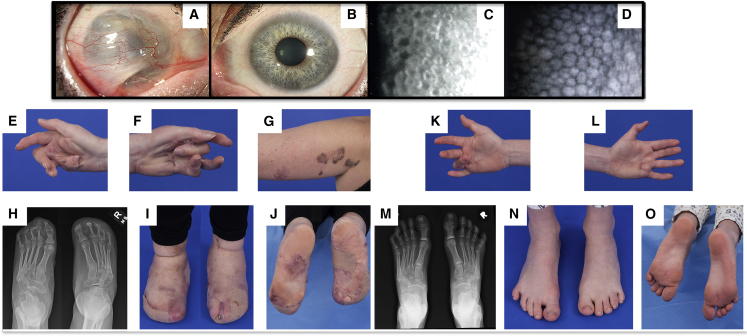 Figure 2