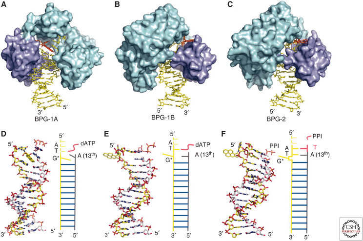 Figure 10.