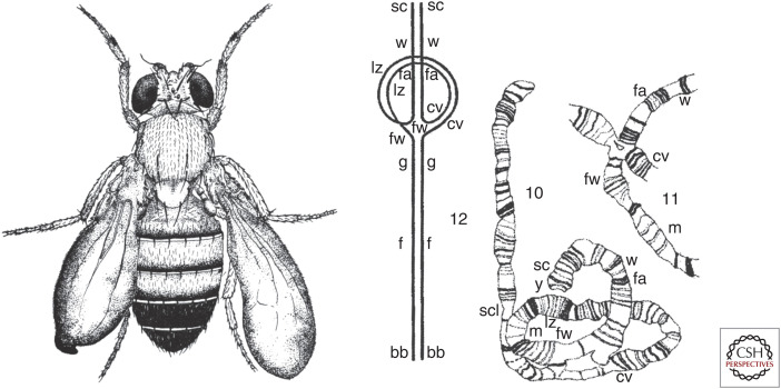 Figure 7.