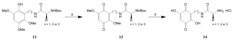 Scheme 2