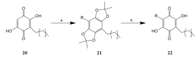 Scheme 5