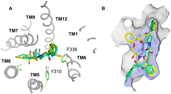 Figure 5