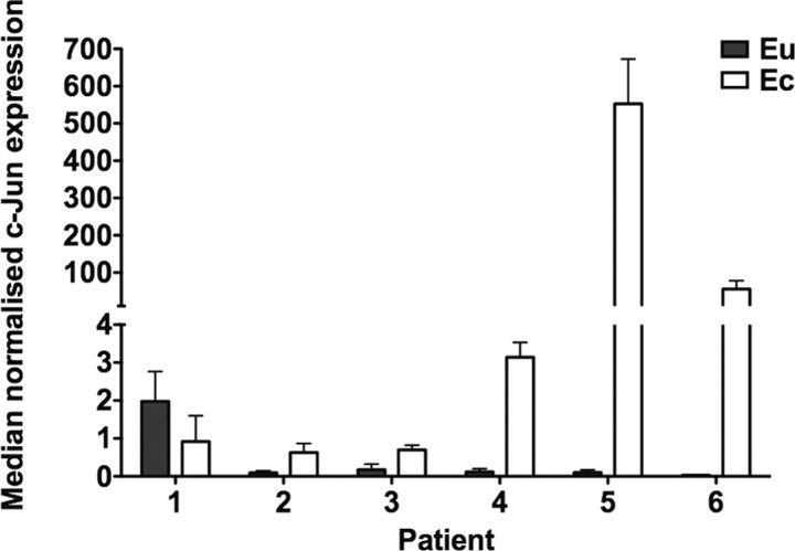 Fig. 4.