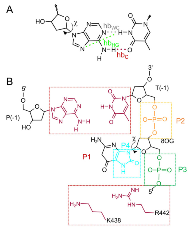 Scheme 2