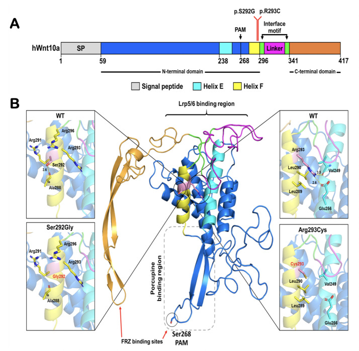 Fig 4