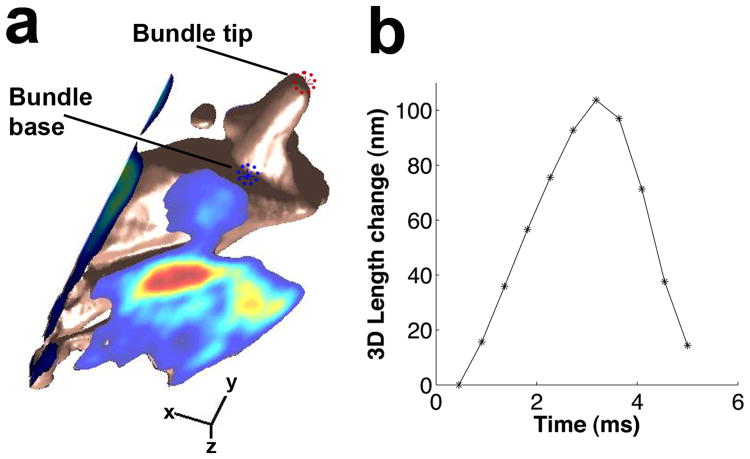 Fig. 3