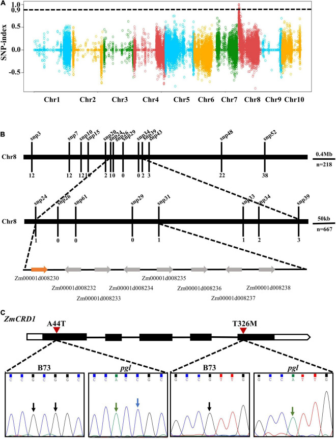 FIGURE 2