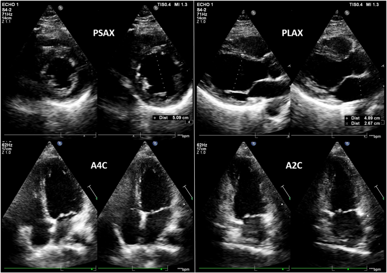 Fig. 4