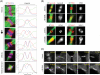 FIGURE 6: