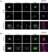 FIGURE 5: