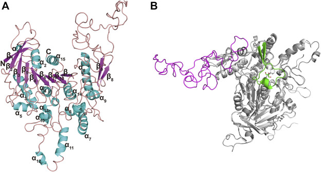 FIGURE 4