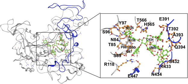 FIGURE 6