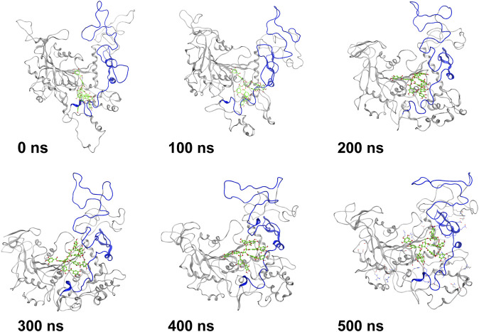 FIGURE 7