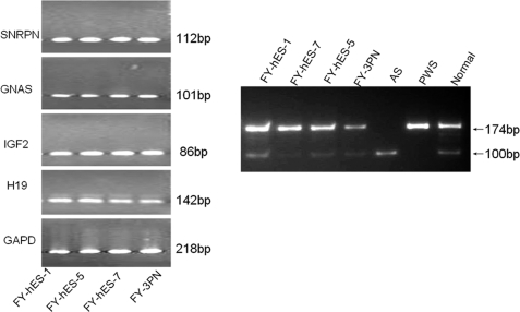 Figure 6: