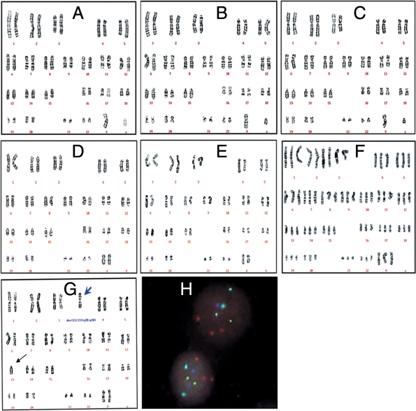 Figure 4: