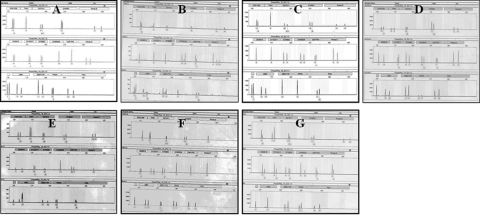 Figure 3: