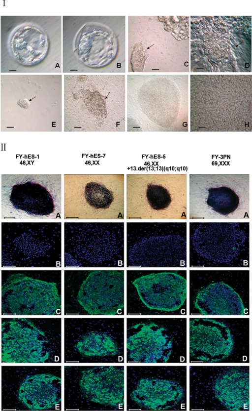 Figure 1: