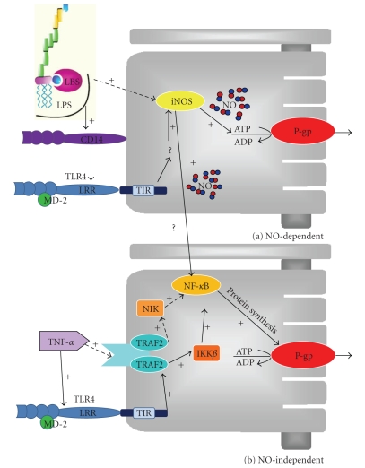 Figure 6