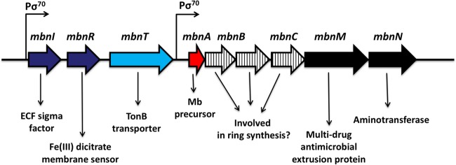 FIG 1