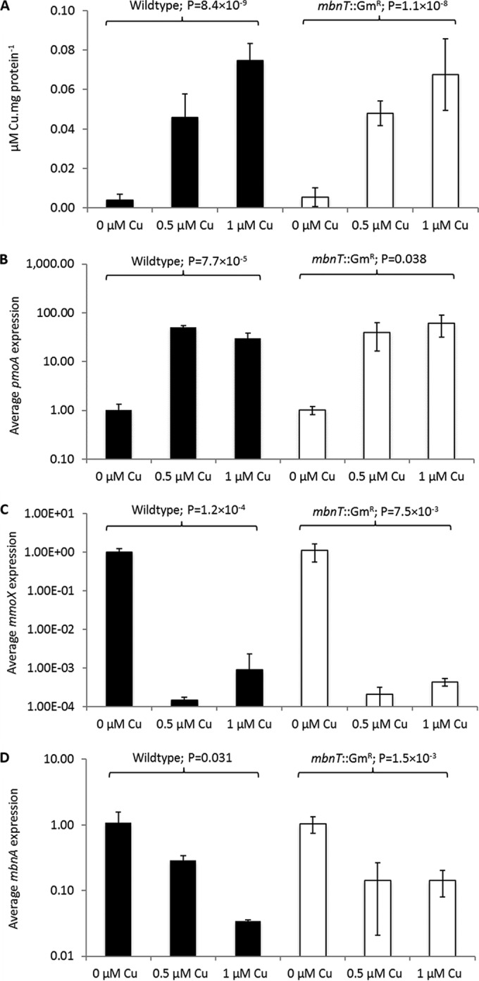 FIG 3