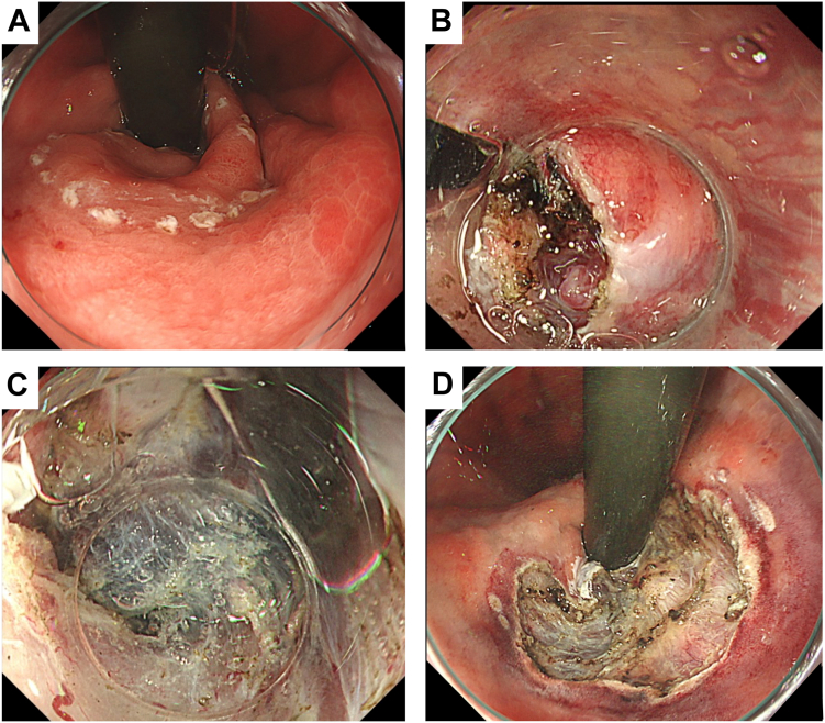 Figure 6