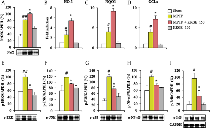 Fig. 6