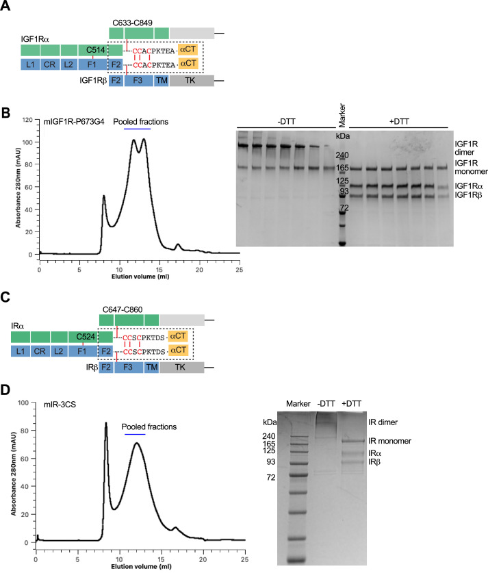 Figure 1—figure supplement 2.