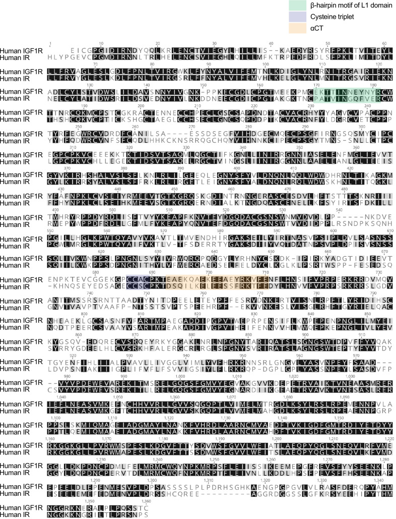 Figure 1—figure supplement 1.