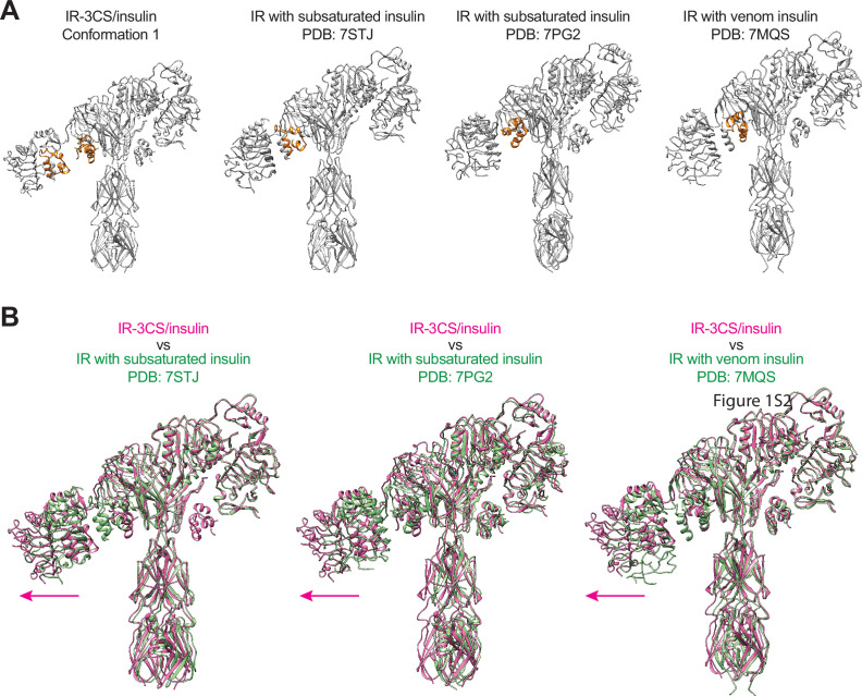 Figure 4—figure supplement 2.