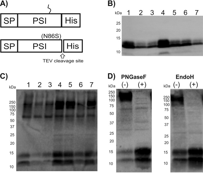 FIG 5