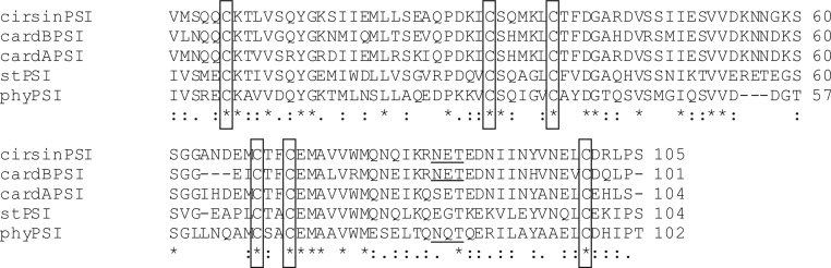 FIG 1