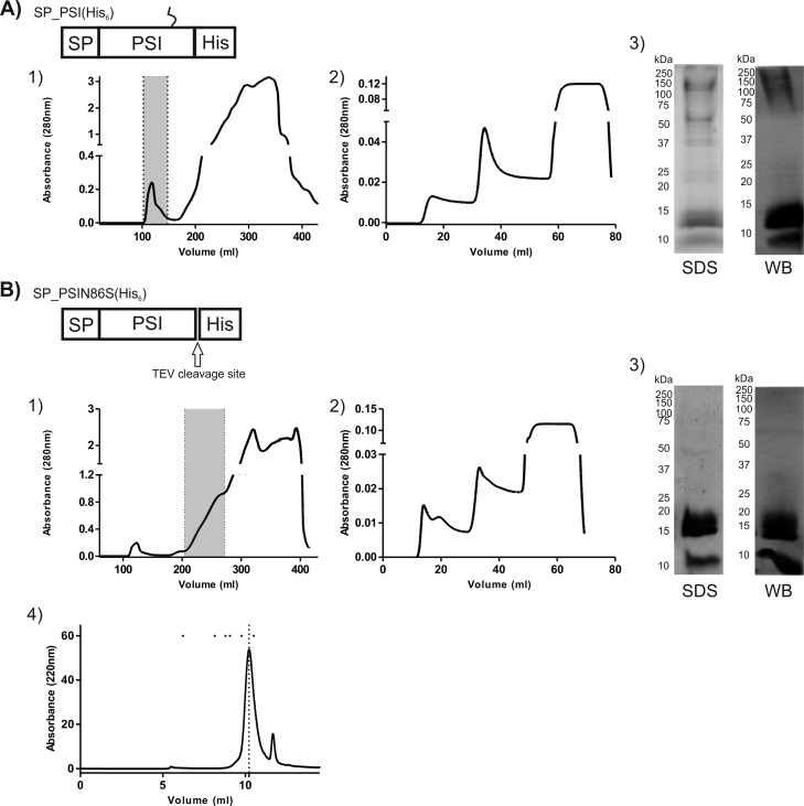 FIG 6