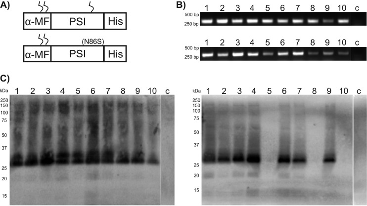 FIG 2