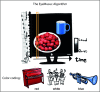 Fig 1