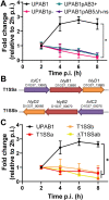 Fig 6