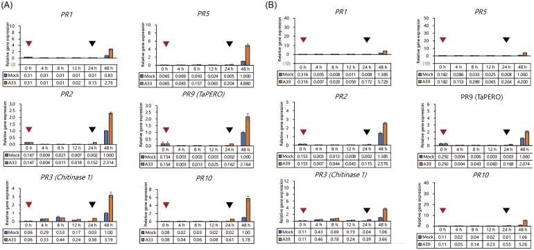 Figure 6.