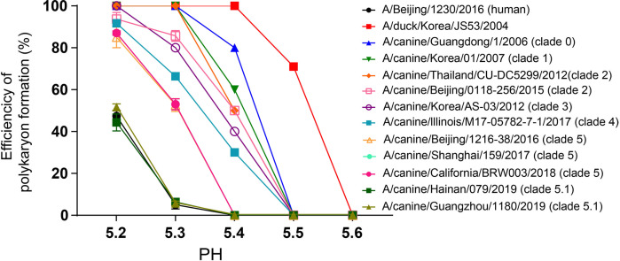 Figure 2—figure supplement 2.