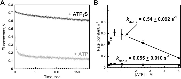 Figure 4—figure supplement 2.