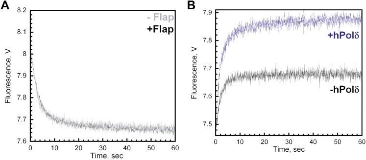 Figure 4—figure supplement 4.