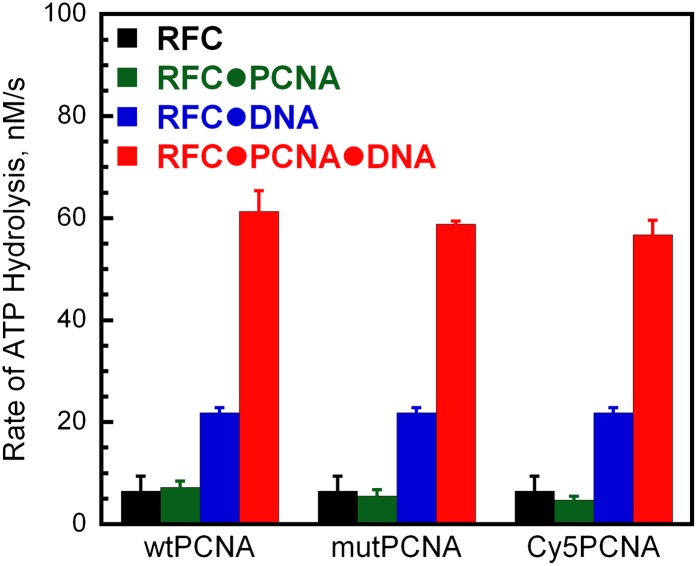 Figure 1—figure supplement 2.