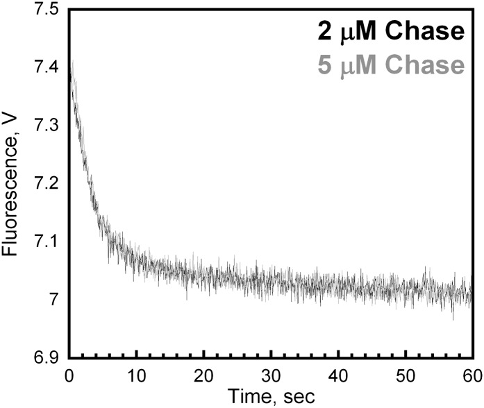 Figure 4—figure supplement 1.