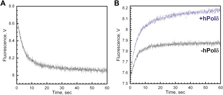 Figure 4—figure supplement 8.